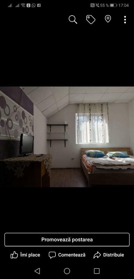 Center Apartment Cluj Napoca المظهر الخارجي الصورة